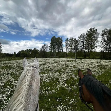 Bajkowy 2 Nad Rzeka Liwiec Сasa de vacaciones *