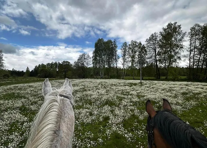 Bajkowy 2 Nad Rzeka Liwiec Holiday home *